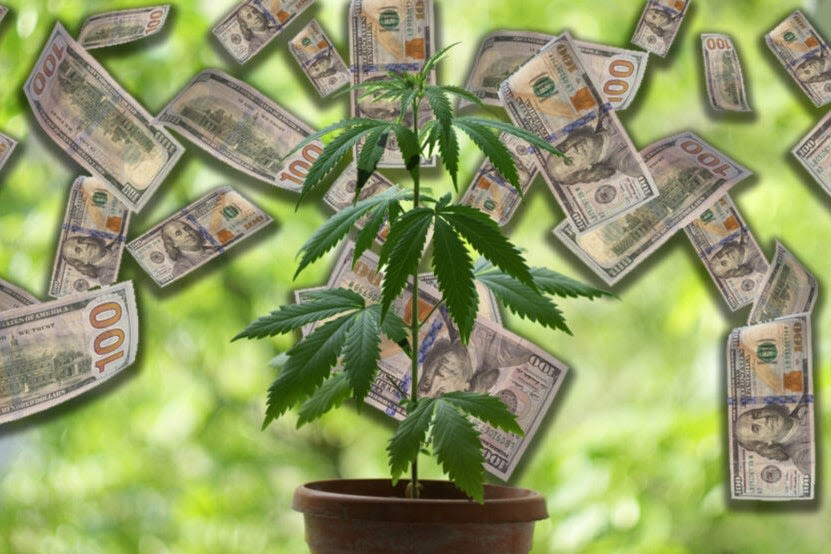 ...Grows 10.4% Hitting $12.6M, CEO Is Optimistic About Possible Marijuana Rescheduling - NewLake Capital Partners (OTC:NLCP)