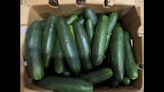 320 sick in 2 salmonella outbreaks. One outbreak has been linked to Florida cucumbers