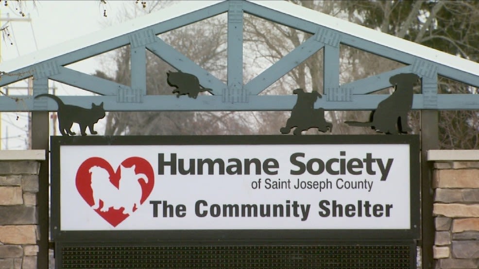 The Humane Society of St. Joseph County seeking donations after washing machine breaks
