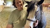 Time running out for local horse rescue to find new farm
