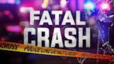 Driver dies after rear-ending a stopped trash truck in Houston County, officials say