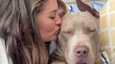 XL bully dog owner slams 'knee-jerk moral panic' – 'I feel targeted'