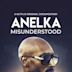 Anelka: Misunderstood