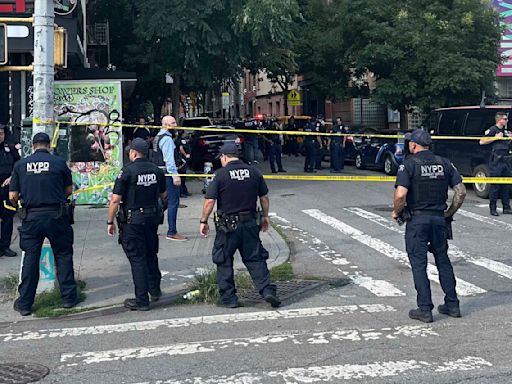 2 New York City police sergeants shot in struggle with armed robbery suspect, both expected to live