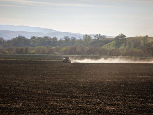 Valley fever strikes attendees of Kern County music festival