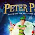 Peter Pan: The Quest for the Neverbook