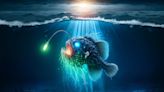 Sexual Parasitism: Yale Scientists Unveil the Mating Mysteries of Deep-Sea Anglerfish