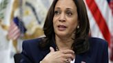 Elecciones en EU: Kamala Harris tiene el apoyo de más de 90 jefes de empresas y 100 autoridades policiales