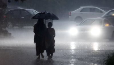 MP Weather Update: Bhopal Receives Sharp Showers, Nivari Receives 143mm Rainfall, 86.4mm In Raisen