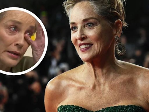 Sharon Stone se quebró al hablar de sus problemas de salud mental: “Intentamos enfrentar a nuestros demonios”