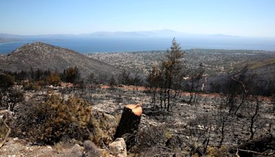 Greece wildfires: Map of affected areas and whether to cancel holiday plans