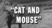 9. Cat and Mouse