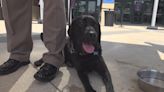 JSO, K9s for Warriors hold event raising awareness of mental health