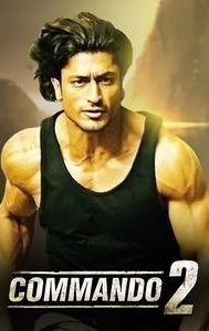 Commando 2: The Black Money Trail