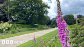 Norwich's Heigham Park celebrates centenary with community