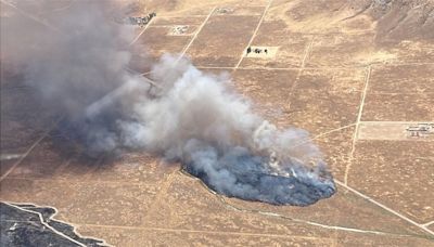 Vegetation fire contained at 29.8 acres in Santa Margarita