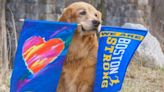 Spencer, beloved Marathon dog, buried with Boston Strong flag draped across him, owner says