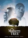 The Mulberry Tree