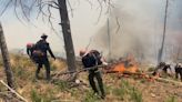 Blue 2 wildfire now burning through 7,000 acres of land in Lincoln National Forest