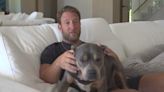 Miss Peaches, Barstool Sports founder Dave Portnoy's pitbull, raises money for U.S. shelters