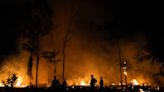 La Amazonía brasileña registra 8.977 incendios en el primer cuatrimestre