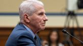 Fauci Testifies Publicly Before House Panel on Covid Origins