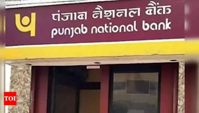 Rs 13,000 crore PNB scam: CBI plea for custody of ex-Gitanjali Group international head rejected | Mumbai News - Times of India