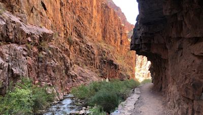 69-year-old man dies while hiking at Grand Canyon National Park amid extreme heat, park says