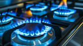 “A los usuarios residenciales no les va a faltar gas, pero vamos a padecer por mayores importaciones”, dijo un ex secretario de energía