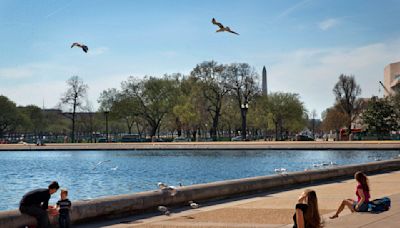 Could the DC area see a low-humidity, pleasant summer’s day on Thursday? - WTOP News