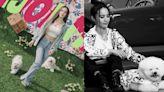「人不如狗」+1！蔡依林愛犬穿的 Gucci 寵物衣超過三萬台幣 - 自由電子報iStyle時尚美妝頻道
