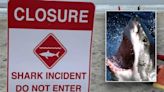 California man survives shark attack by reportedly punching predator 'inside its mouth'