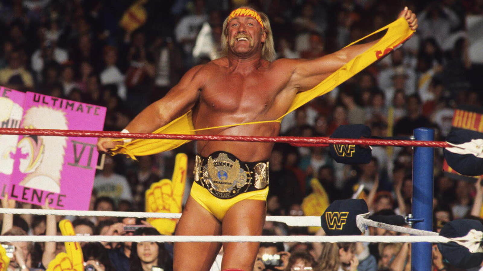 WWE Legend Hulk Hogan Questions AEW Spot That Led To Adam Copeland's Injury - Wrestling Inc.