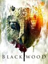 Blackwood (2013 film)