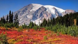 Scenic Stevens Canyon Road in Mount Ranier reopens following a two-year rehab project