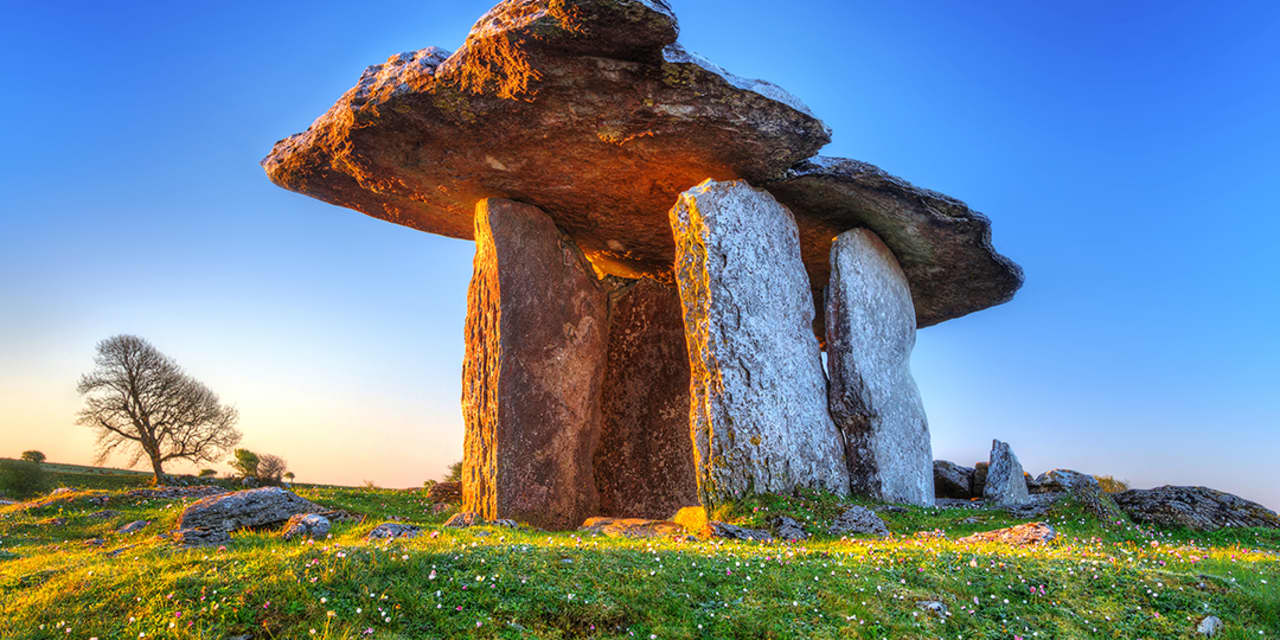 ‘Wild Ireland: Kingdom of Stone’ Review: Stark But Thriving