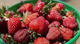 FYI Calendar: There’s a new Strawberry Festival in Fayetteville | Northwest Arkansas Democrat-Gazette