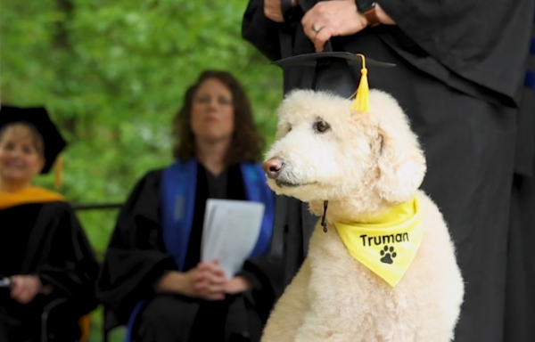 Elizabethtown College therapy dog receives honorary “dog-gree”