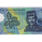 汶萊塑膠鈔-1元
