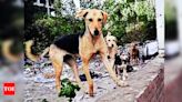 Mohali MC penalised for stray dog menace | Chandigarh News - Times of India