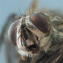 Woooahh!!! This is Extreme Close-up Photography - Joyenergizer