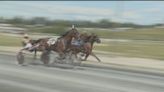 Connell Park thriving as one of few remaining harness racing tracks in New Brunswick