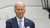 Donors hail Biden: Harris 'jolt of adrenaline' will energize Democratic base