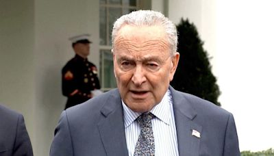 Rumors Swirl That Chuck Schumer and Nancy Pelosi Are Open to Replacing Biden