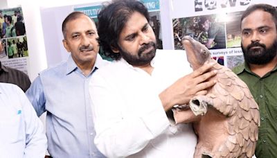 Pawan Kalyan emphasizes imperative of ecological conservation