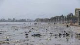 Mumbai's Famous Juhu Beach Gets Rid Of 200 MT Of Garbage, All Thanks To 138 Civic Labourers