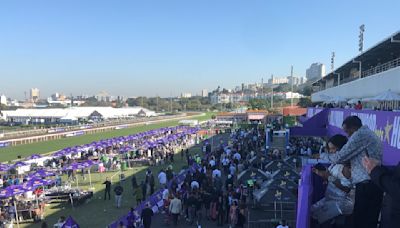 Hollywoodbets Durban July: Meet the class of 2024!