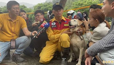 高雄4搜救犬健檢「歐趴」！8歲Roger頭好壯壯暫不退休