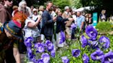 How to watch the RHS Chelsea Flower Show from the comfort of your own home