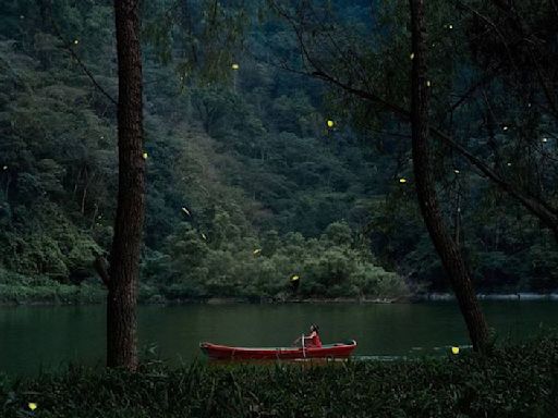 Así es el paseo en lancha para ver luciérnagas en Tlatlauquitepec